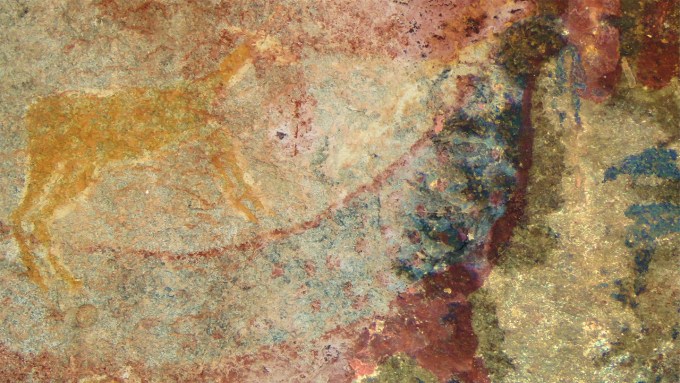 Faded paint on a cave wall appears to show two creatures, one in yellow top left and one in more reds and blues, that create an animal with an elongated body and what appears to be tusks, in blue, near its head region.