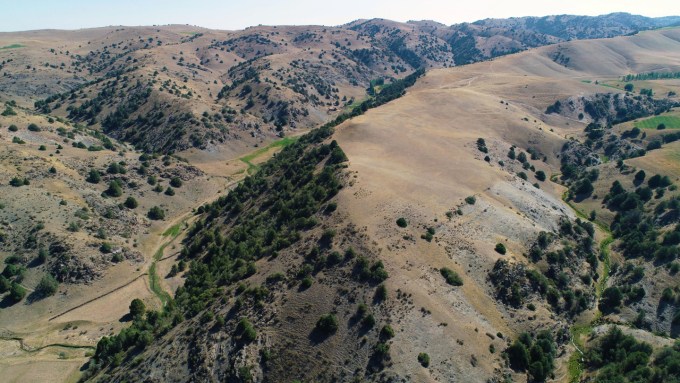 An aerial view of a mountainous region in Central Asiua shows what looks like a mountaintop partly covered by trees and partly open field. Researchers have found traces of a medieval city there.