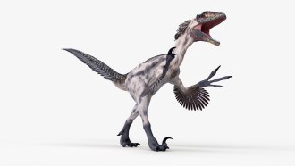 Illustration of a Deinonychus dinosaur.