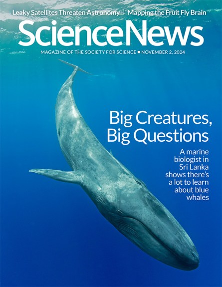 Cover of November 2, 2024 issue of Science News